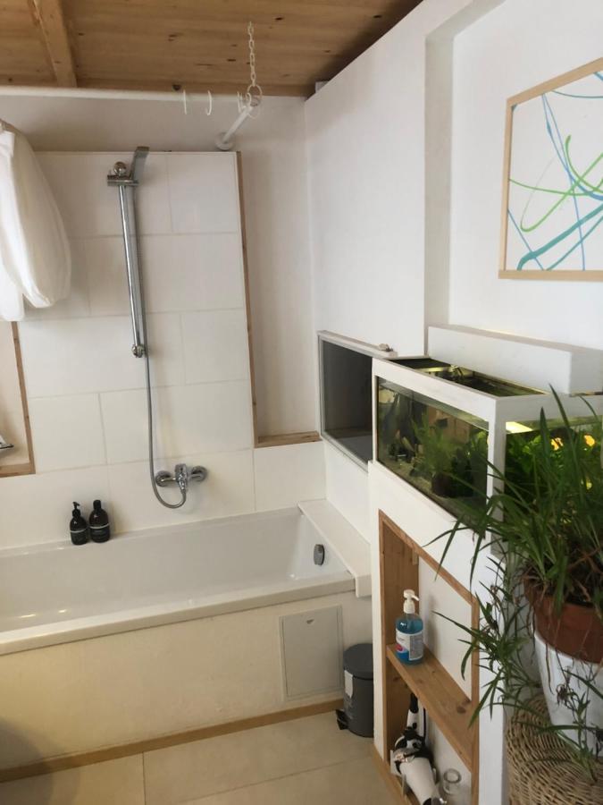 Apartment Achter De Mohl I フレンスブルク エクステリア 写真